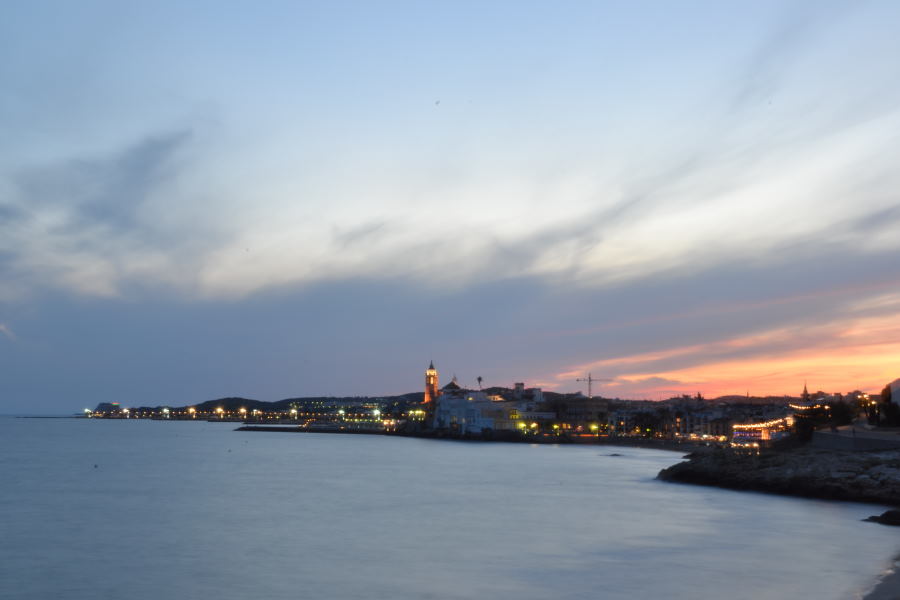 DSC_0296