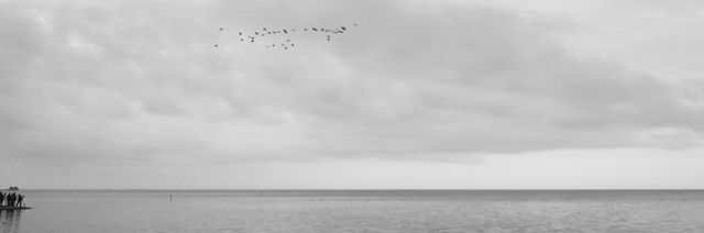 Delta_de_l_Ebre_novembre_2012-37