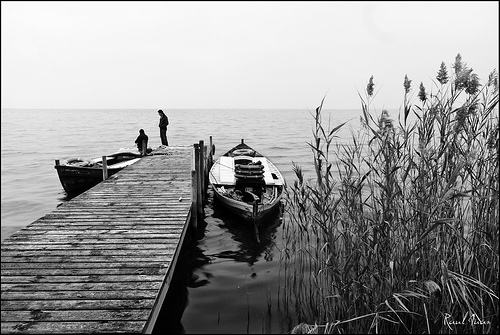 El_muelle1