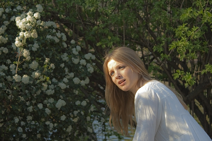 Entre_flores1