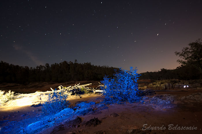 Fotog_Nocturna-41