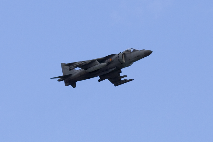 Harrier