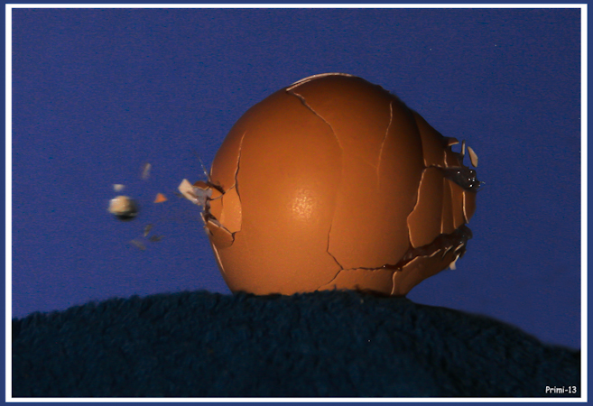 Huevo3