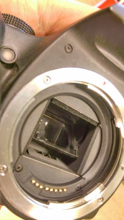 IMAG0241_Medium_Medium_