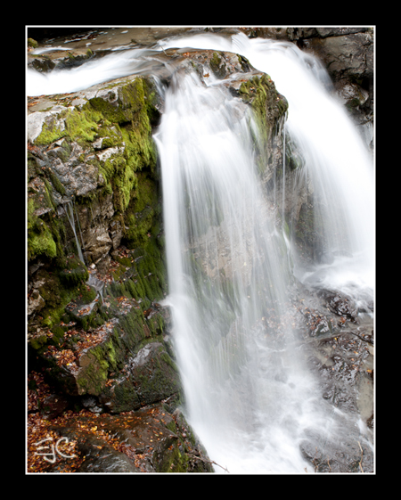 IMG_1460_canonistas