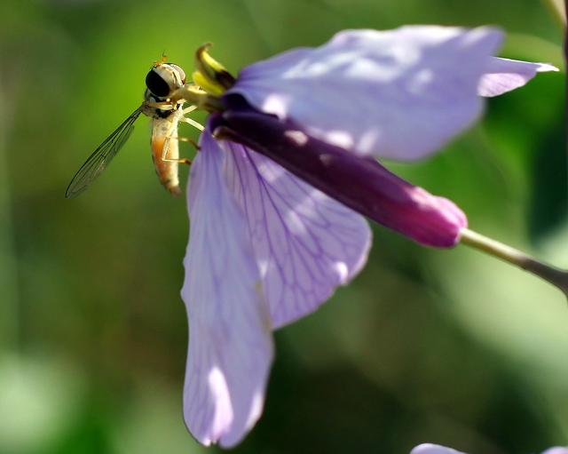IMG_1940_filtered-2