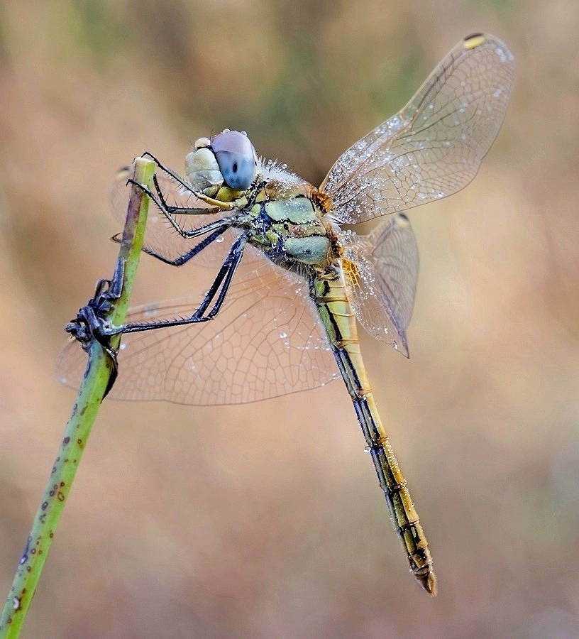 IMG_2123web1