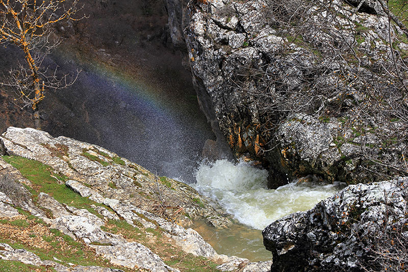 IMG_8205-CANON