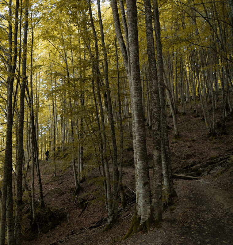 IMG_8479-Editar-Editar