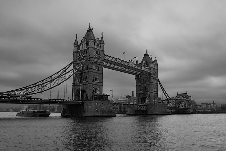 IMG_89691