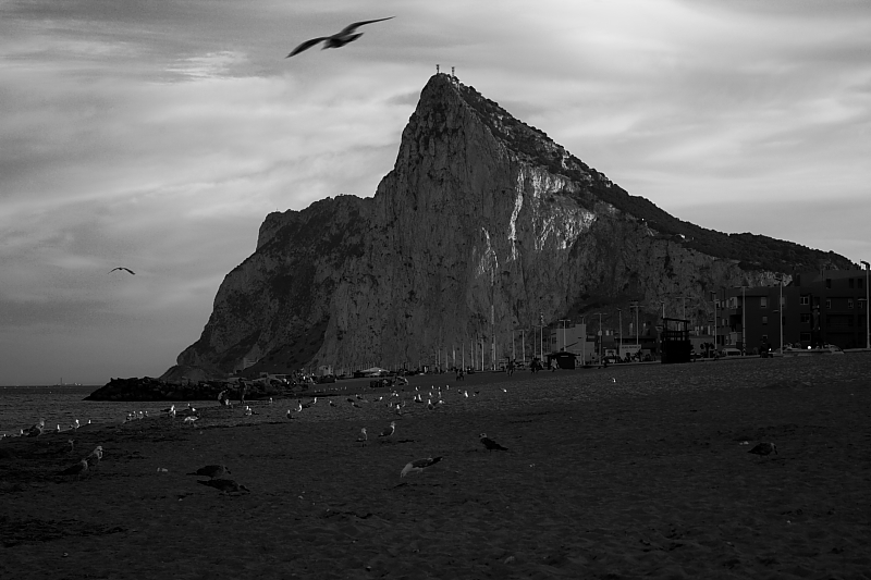 IMG_91811