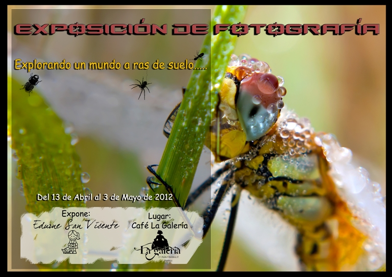 Lib_lula2P