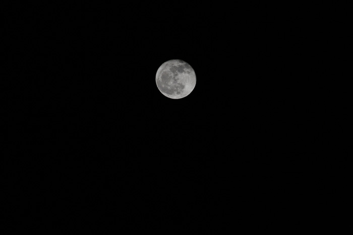 Luna02