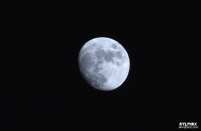 Luna211