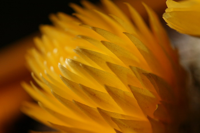 MACRO14