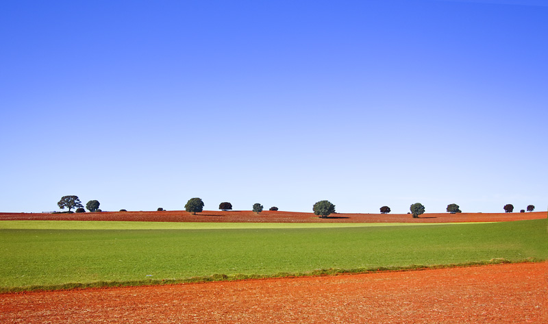 MG_0254-como-objeto-inteligente-1