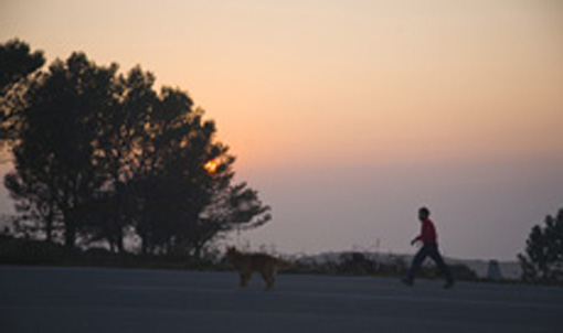 MG_0612_copia