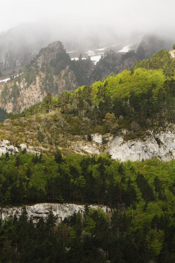 MG_15331