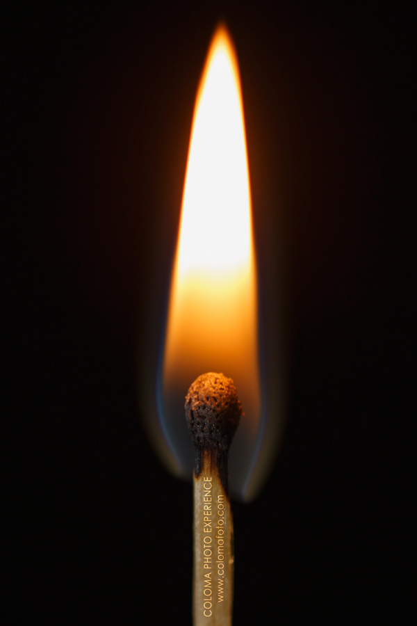 MG_2892web