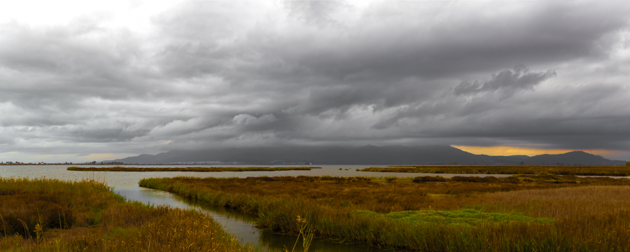 MG_3168-1-_MG_3172-5_5_img