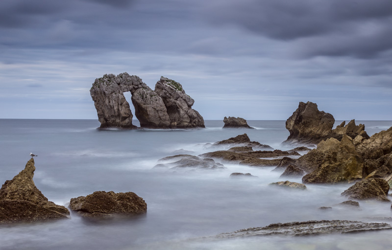 MG_33042