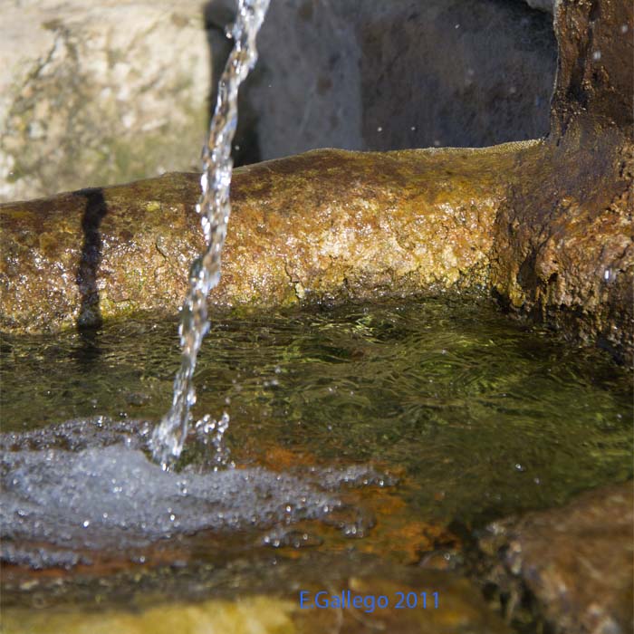 MG_3357_canonistas