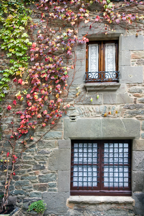 MG_4361-editar