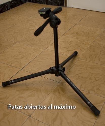 MG_5250