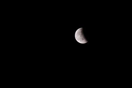 MG_56591