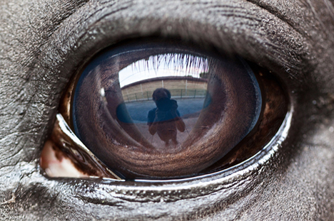 OJO22