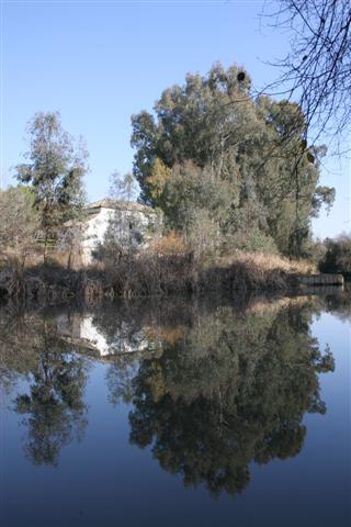 Oromana_18-1-06_058_Small_