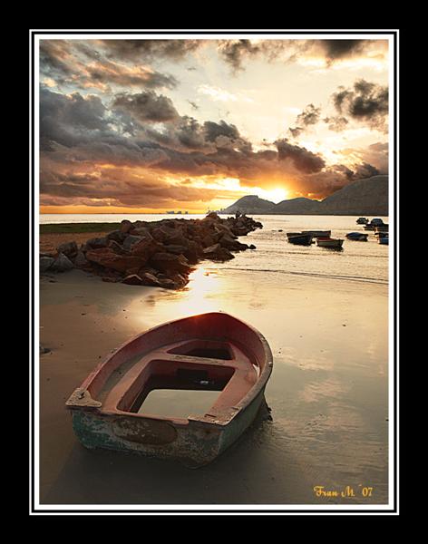 PA260449_copia_Medium_