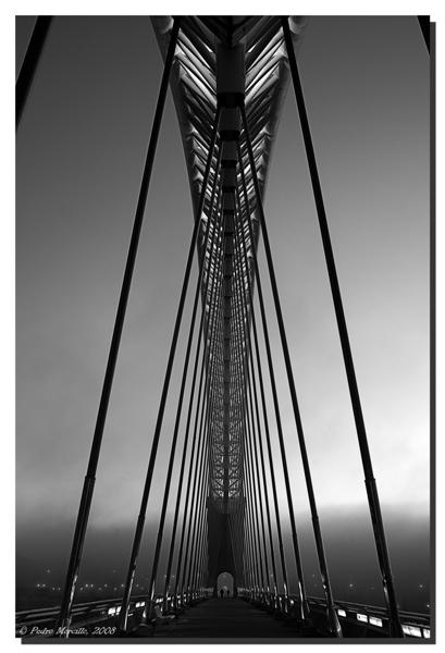 Paseando_enfocada_B_W_Medium_