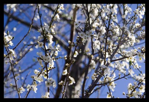 Qdd_MG_9546