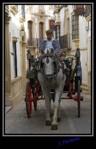 Ronda_caballo