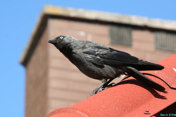 a02844eee37a799afc262c51039f7056