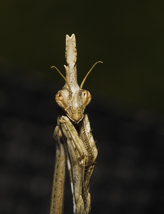 a3618c6e2c28308cc01d17d9079305f8