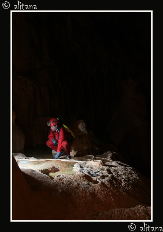 a9c9675eb0aa086e2ee3286e0339e6aa