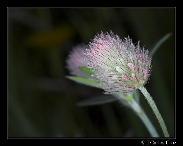 ac917b14d320019f49920d6d19176815