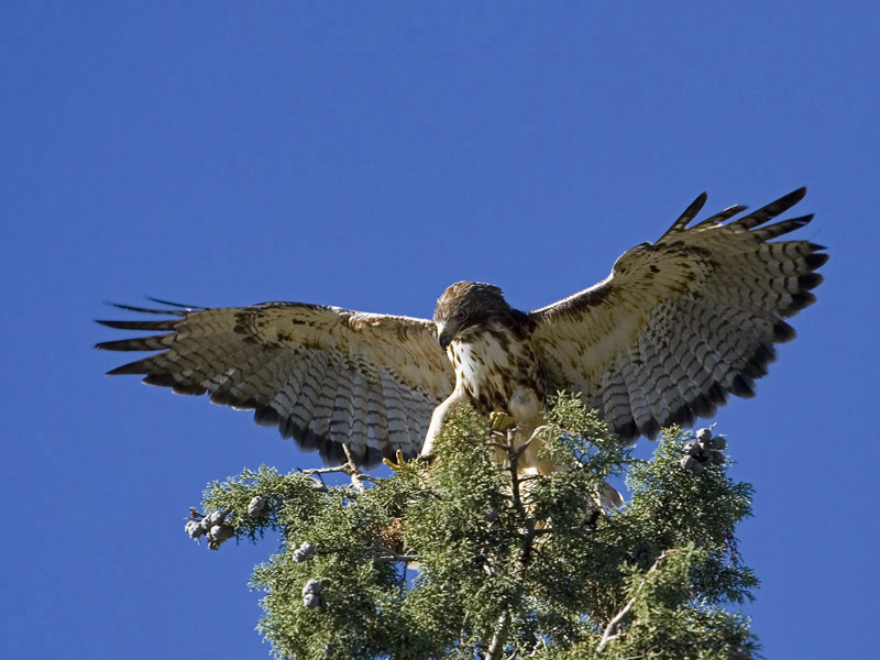 aec7ed80c6046deae1af3f6b2515ac23