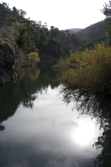 aguas_negras