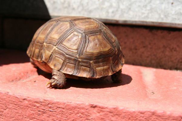 b8d7b1a4336c1bb3f1b4900df535aeff