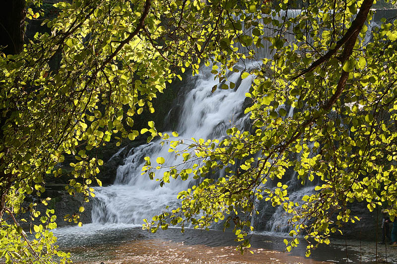 ba7ce491b50b04481484fba22958df87