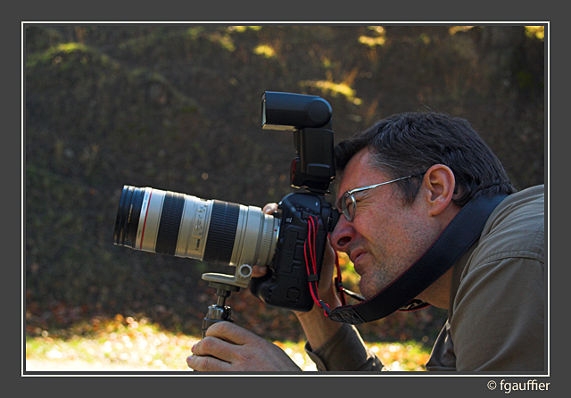 d01a80e3b9aa3f993577076c70232297