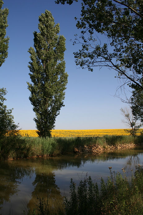 d05ddcf9014c29a0bda57b9a4c8cc872