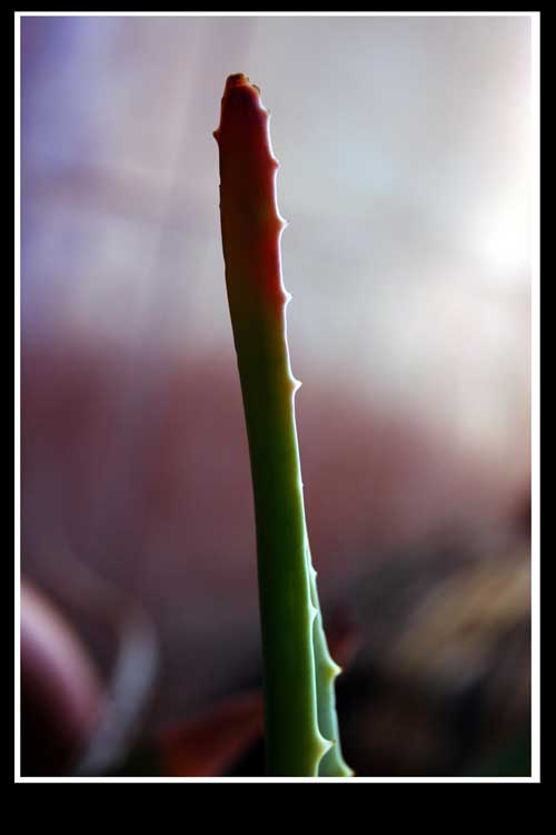 dc610e69067efa6ccf9823c58d464d07