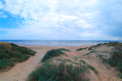 ermatia
