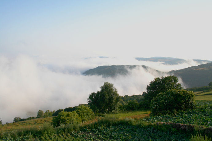 f1c042499fde854c660913f258adde9d