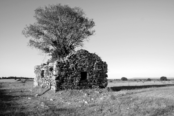 f2935923c4085585a0e4a193dc8d30a4