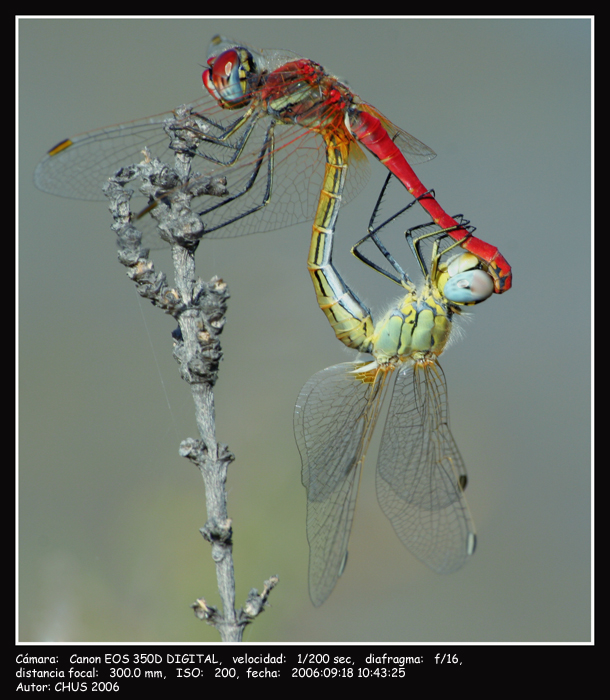 f736d8db62e5b8f268b7ee764864302d